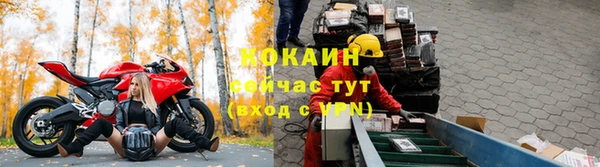 мяу мяу мука Беломорск